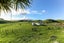 319 Opourapa Road, Opunake - Carousel 21