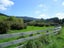 5591 Masterton Castlepoint Road, Masterton - Carousel 6