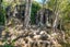 27 Hekerua Road, Oneroa, Waiheke Island - Carousel 21