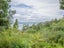 36 Tanekaha Road, Titirangi, Auckland - Carousel 6