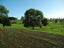 77 Day Road, Te Awamutu, Ohaupo - Carousel 2