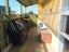 6 Thomas Place, Foxton Beach, Foxton - Carousel 24