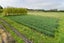 407 Pesters Road, Eyrewell Forest, West Eyreton - Carousel 16