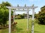 68 Thirteenth Avenue, Tauranga South, Tauranga - Carousel 15