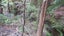 0 Whatuwhiwhi Road, Karikari Peninsula - Carousel 21