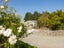 297 No 1 Line, Featherston - Carousel 17