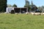 225 Mill Road North, Myross Bush, Invercargill - Carousel 4
