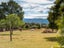 121 Humphries Street, Woodside, Greytown - Carousel 5