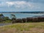 20 Banyan Road, Karikari Peninsula, Karikari Peninsula - Carousel 8
