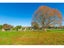 31 Lee Martin Road, Tamahere, Hamilton - Carousel 29