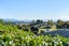 4 Solander Drive, Welcome Bay, Tauranga - Carousel 4