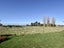 4 Pukeko lane, Carterton, Wellington - Carousel 2