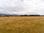 33 Flax Cutter Lane, Greytown, South Wairarapa - Carousel 11