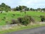 492 Stoney Creek Road, Kelvin Grove, Palmerston North - Carousel 6
