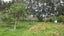 115 Station Road, Dargaville, Dargaville - Carousel 21
