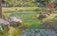 50 Rewa Rewa Valley, Tairua, Thames - Carousel 31