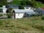0 Jetty Road, Castlepoint, Tinui - Carousel 14