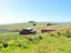 1742 South Head Road, Helensville - Carousel 11