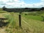 0 Hanning Road, Earnscleugh, Alexandra - Carousel 6