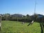54 Kahukura Avenue, Waitarere Beach, Levin - Carousel 7