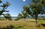 85 Rowling Loop, Lower Moutere - Carousel 10