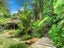 25 Kennedy Road, Surfdale, Waiheke Island - Carousel 3