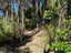 35 Gibbs Road, Collingwood, Collingwood - Carousel 19