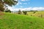 113 Addison Road, Pataua South, Parua Bay - Carousel 8