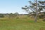0 Centennial Park Road, Wellsford, Wellsford - Carousel 10