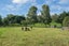 7 Kingsley Drive, Ngongotaha, Rotorua - Carousel 5