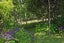 109 Taiapa Road, Waimauku - Carousel 5