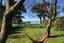 386 Decanter Bay Road, Little Akaloa, Akaroa - Carousel 17