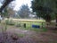 18 Lily Pond  LANE, Haruru, KAWAKAWA - Carousel 7