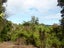 35 Mokihinui Preserve, Seddonville, Westport - Carousel 24