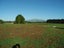 77 Day Road, Te Awamutu, Ohaupo - Carousel 6