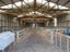 916 Mountain Road, Waiongana, Inglewood - Carousel 9
