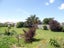 25 Johnston Street, Foxton, Foxton - Carousel 18