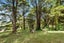 0 Dip Road, Kaeo, Kaeo - Carousel 6