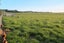 216E Ahiaruhe Road, Ahiaruhe, Carterton - Carousel 20