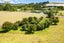 14 Daniel Parade, Wellsford - Carousel 6