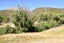 278 Centennial Avenue, Arrowtown, Queenstown - Carousel 8