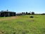 11 Hetta Street, Foxton, Foxton - Carousel 1
