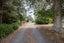 438 Falls Road, Waerenga - Carousel 5