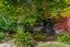 7 The Oaks, Awapuni, Palmerston North - Carousel 24