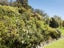 141L Churton Drive, Churton Park, Wellington - Carousel 4