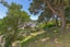 9 Townsend Road, Miramar, Wellington - Carousel 10