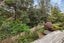 66B Russell Road, Kensington, Whangarei - Carousel 16