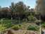 32 River Terrace, Renwick, Renwick - Carousel 16