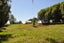 107 Akers Road, Linton, Palmerston North - Carousel 14