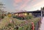 14 Addison Street, Leamington, Cambridge - Carousel 24